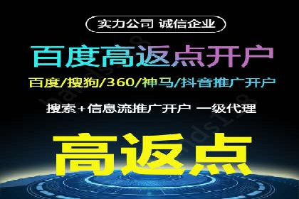 某行业巨头如何利用百度推广服务费提升业绩